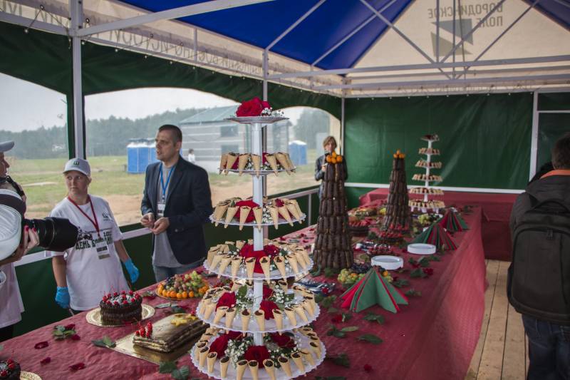 Дневниковые заметки с военно-исторического фестиваля &laquo;Бородино-2017&raquo;