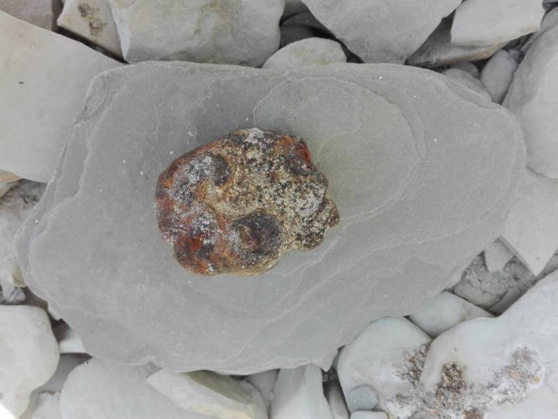 Последний причал канлодки "Красная Грузия"