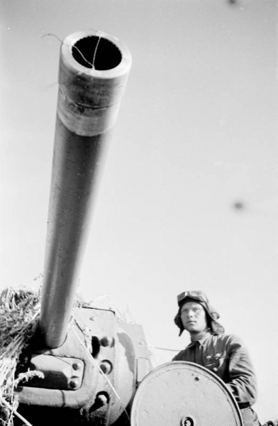 "Мы штурмуем Сталинград и возьмем его...". Второй штурм твердыни на Волге