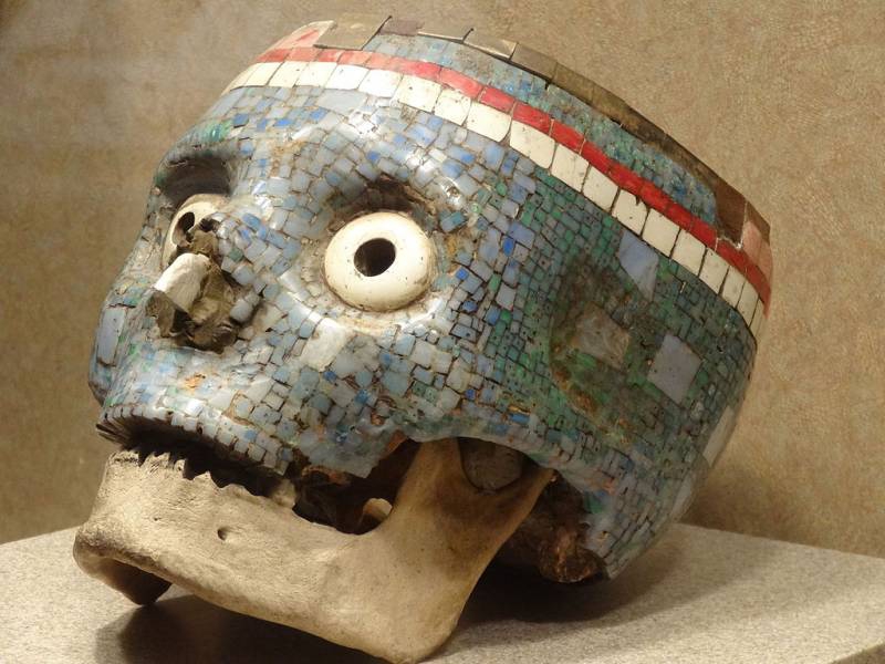 Головы мертвых рассказывают…