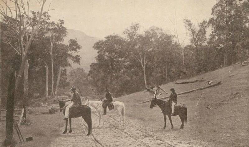 Разбойник в рыцарских доспехах