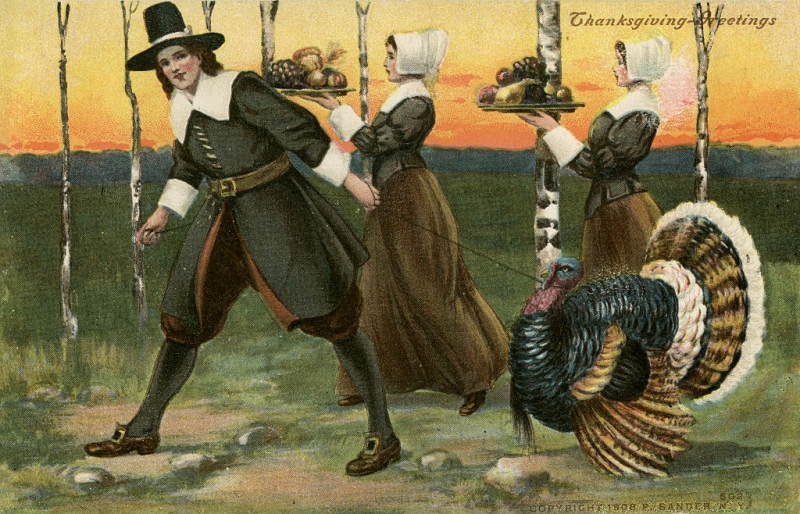 День благодарения: история помилования индейки