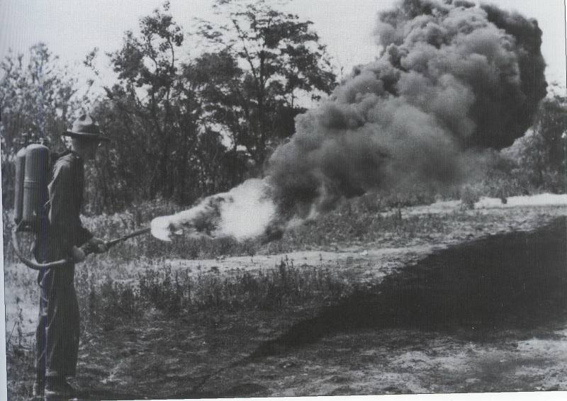 Войска Дыма и Пламени. Часть 2. Огненная Антанта