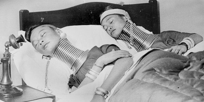 Варвары под защитой закона