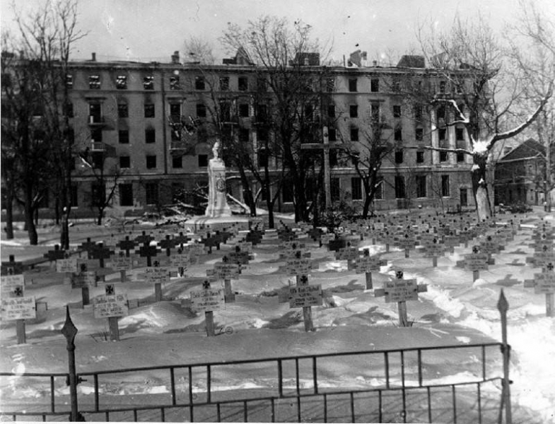 Неизвестная война. 75 лет окончания Воронежской битвы