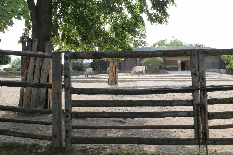 Оружие и доспехи воинов-монголов (часть вторая)