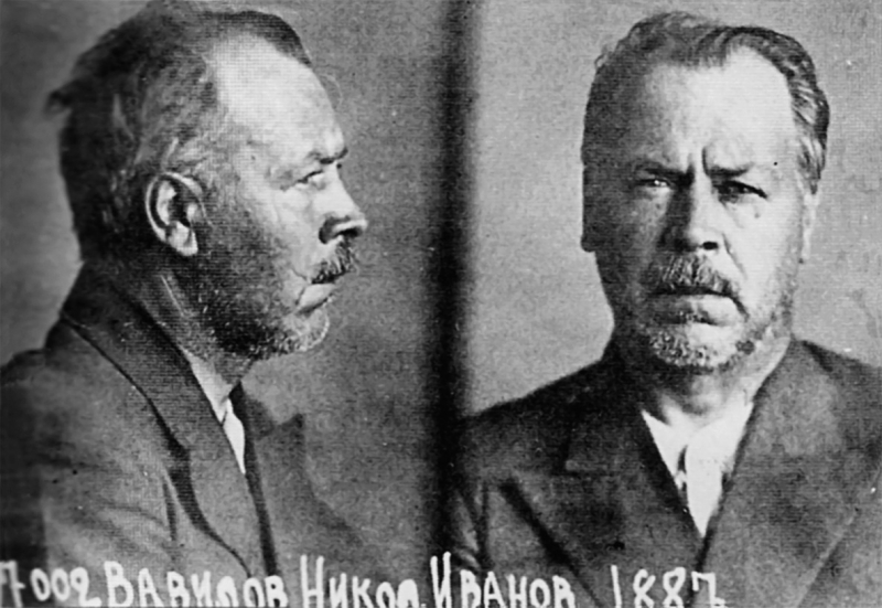 Кощеево царство. В круге седьмом. Действие первое