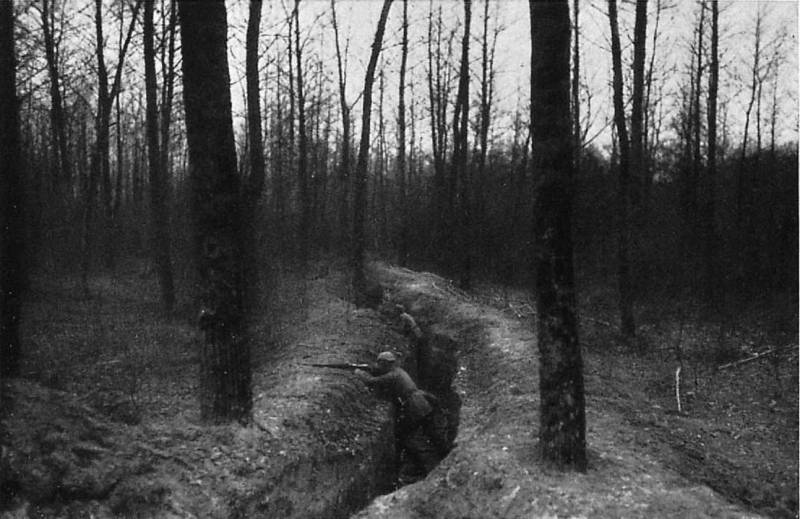 Виктория в Августовских лесах. Часть 2