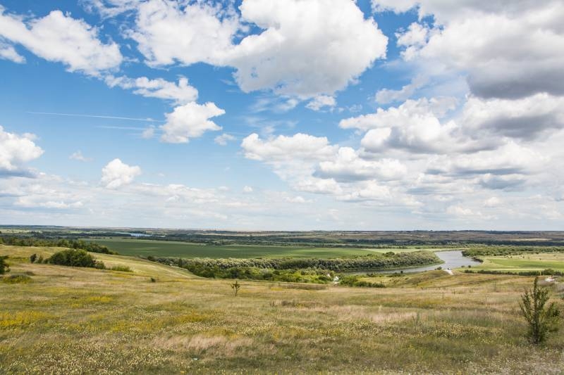 О венграх, которых под Воронежем не брали в плен