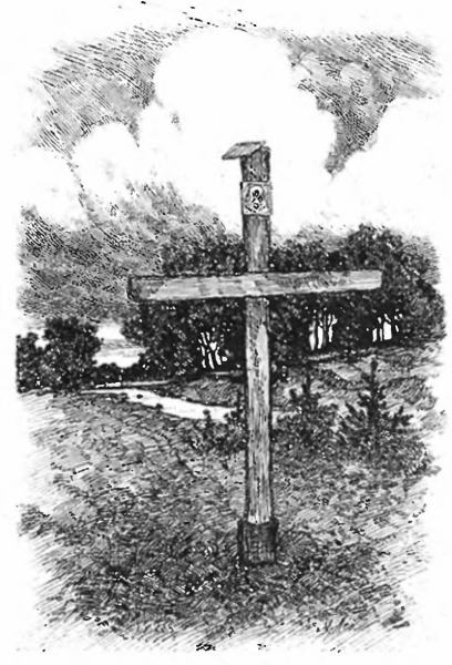 Виктория в Августовских лесах. Часть 2