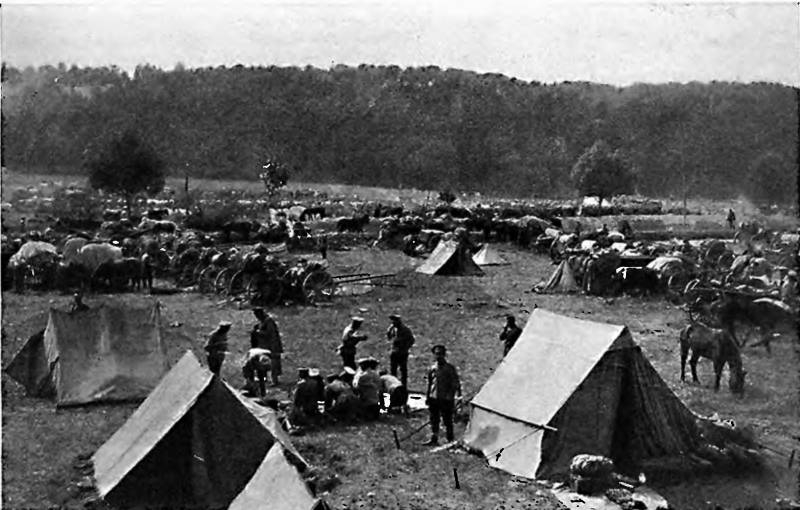 17-й армейский под Томашевым. Ч. 3