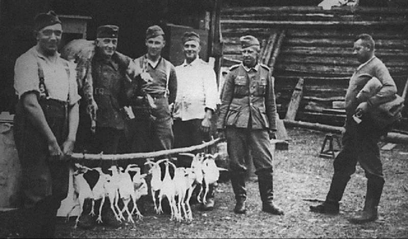 О венграх, которых под Воронежем не брали в плен