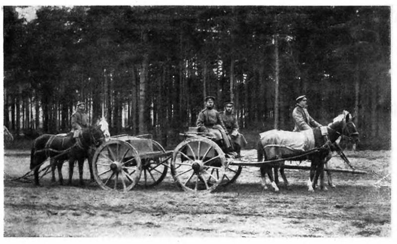 Виктория в Августовских лесах. Часть 3