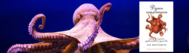 Кали. Братство рыб