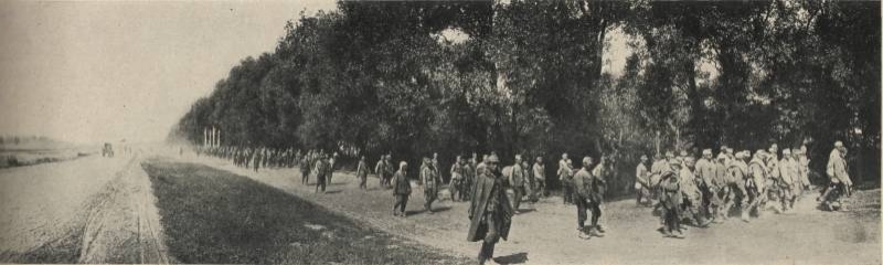 Владимирская высота