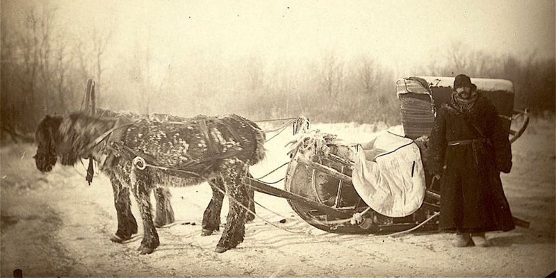 «Более жалкого зрелища нищеты и страданий трудно было себе вообразить»