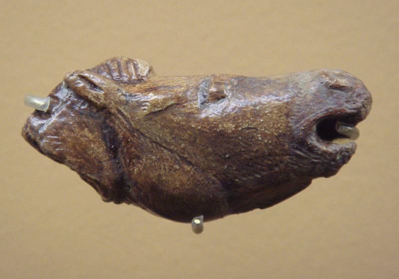 Красотки каменного века: «Палеолитические Венеры»