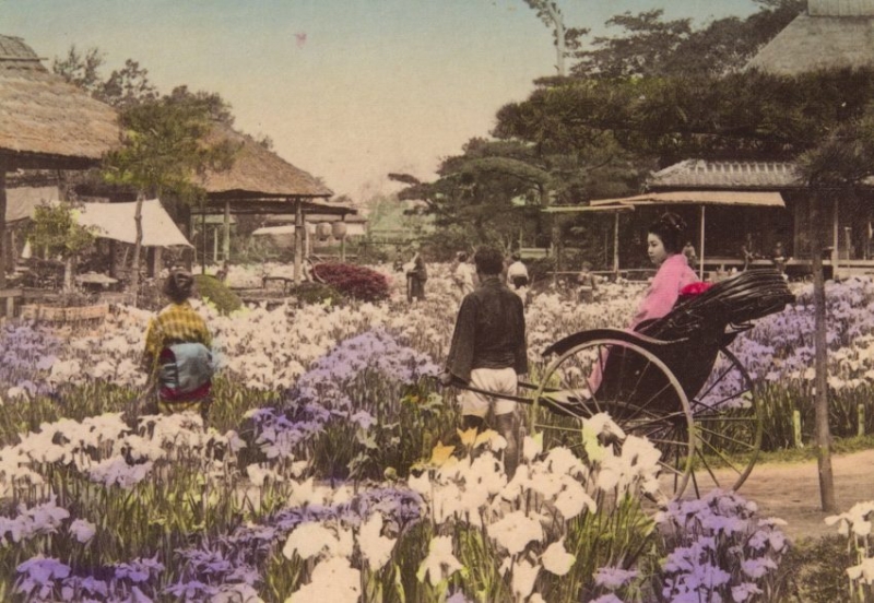 Японский сувенир