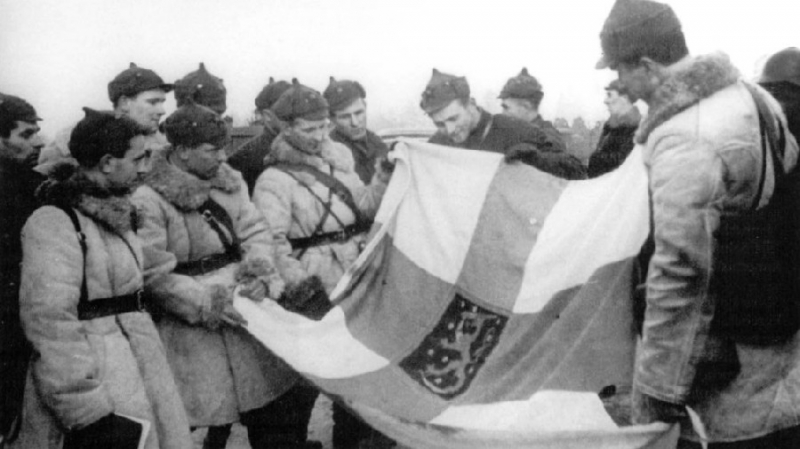 Красная армия в Зимней войне 