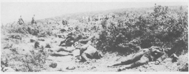 Дарданеллы и Галлиполи. Загадка стойкости турецкого солдата. Часть 1