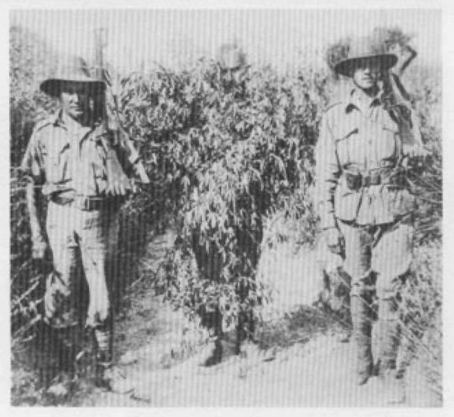 Дарданеллы и Галлиполи. Загадка стойкости турецкого солдата. Часть 1