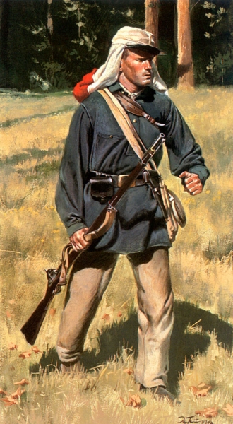 Первая победа Юга. Булл-Ран, 1861