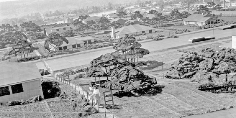 Секретный завод Boeing под потемкинской деревней