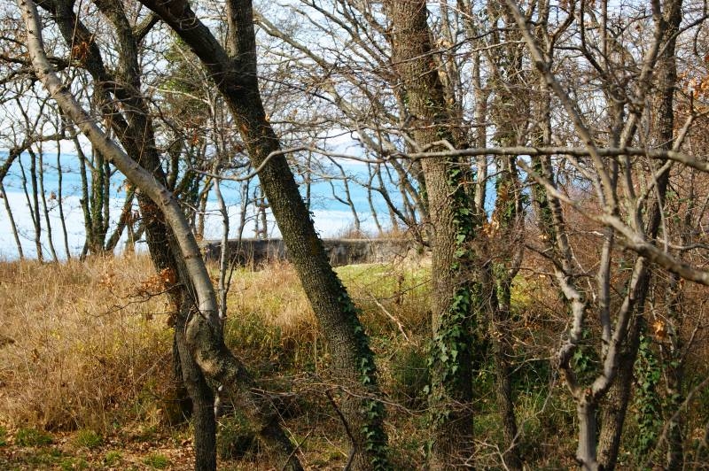 В поисках 714-й батареи. Часть 3. Фоторепортаж