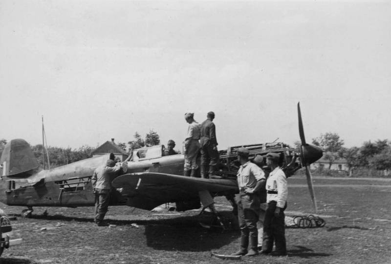 Битва за «чёрное золото» Кавказа