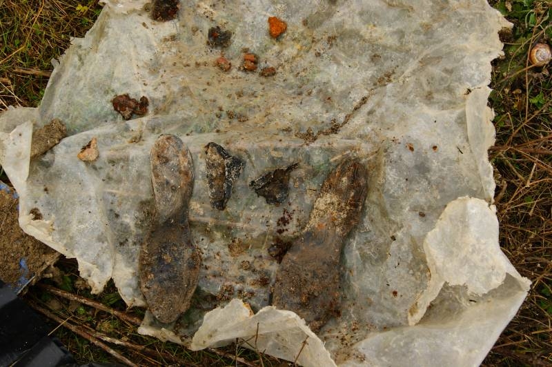 Изверги на Чёрном море: малоизвестные преступления нацистов в районе Новороссийска. Часть 6