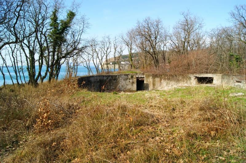 В поисках 714-й батареи. Часть 3. Фоторепортаж