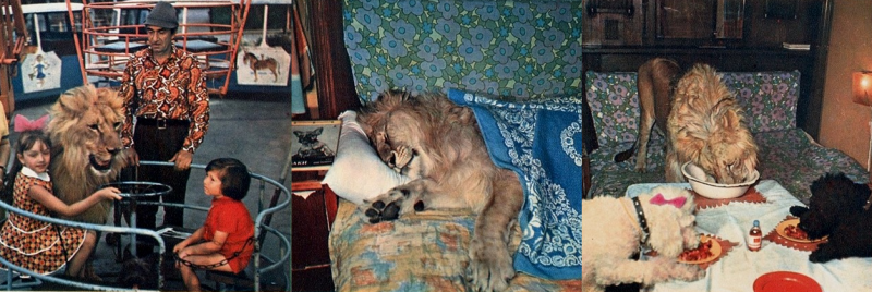 Советская кинозвезда, сломавшая шею хозяину