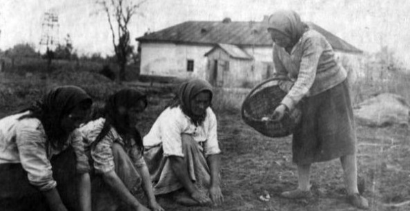 «Группа зарезала и употребила в пищу трех детей»
