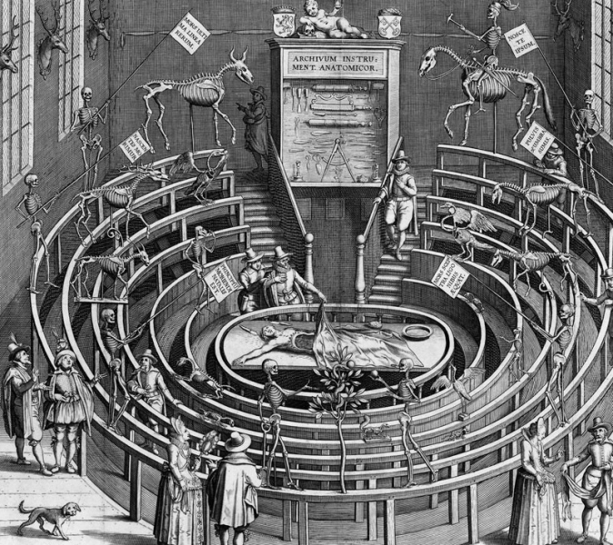 Анатомические театры в Европе