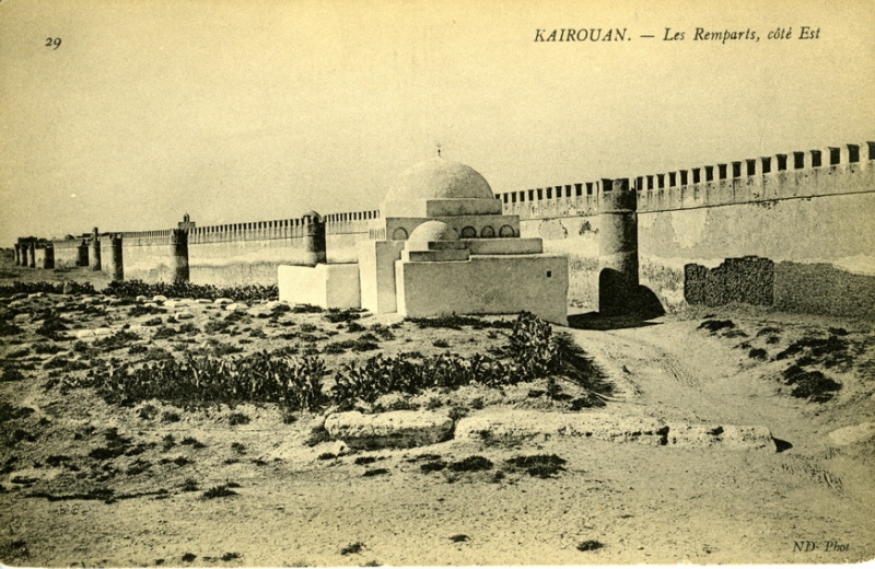 Французский Карфаген