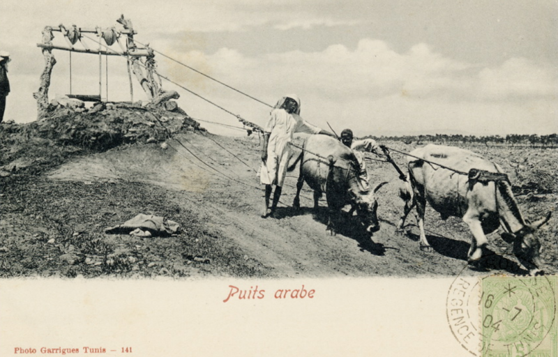 Французский Карфаген