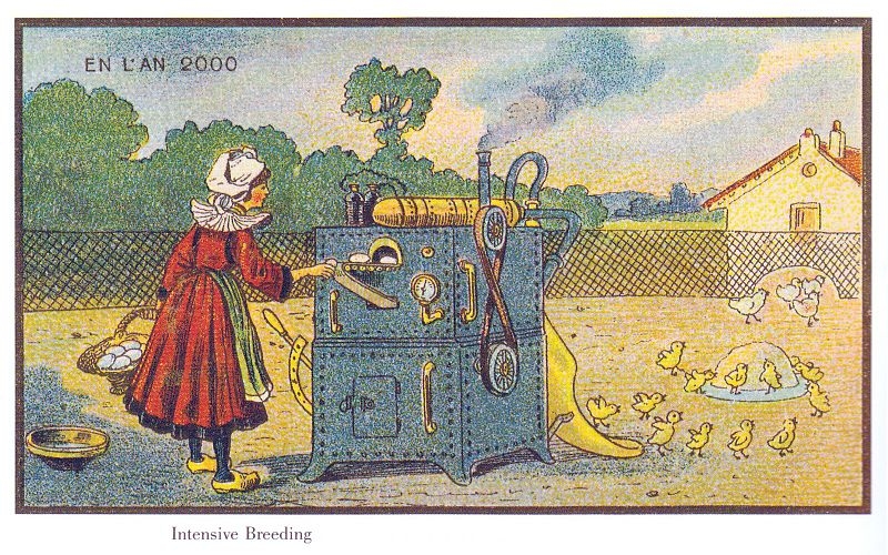 Авиаполиция, кит-такси и подводный гольф