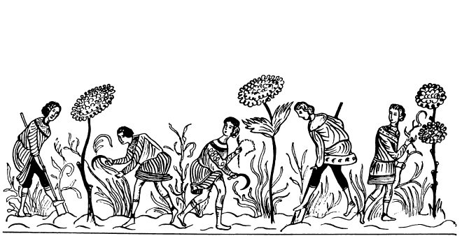 Гид по развлечениям Константинополя