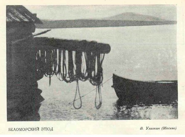 Безмолвный Север