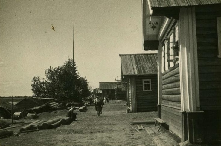 Безмолвный Север