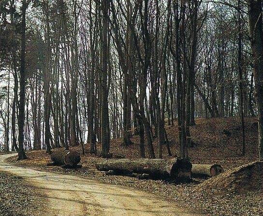 Закопанные славянские ладьи с острова Рюген