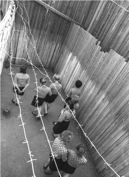 Василий Шульгин: гимн во славу Владимирской тюрьмы 