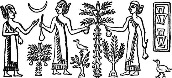 Выращивание зерна вызвало к жизни государство 