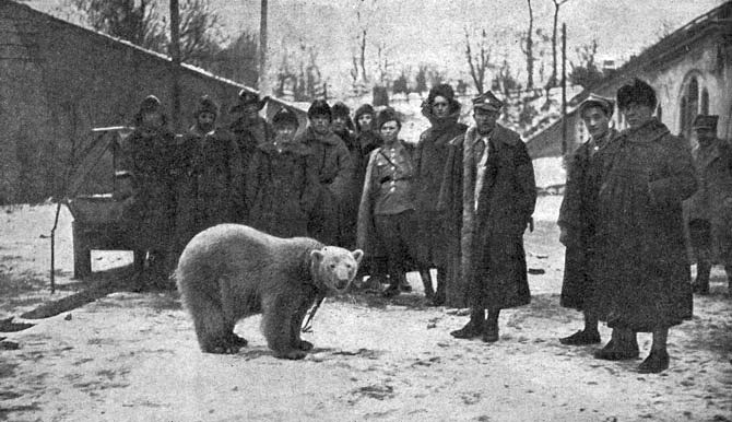 Австралийский офицер в "белой" Сибири в 1919-м: Хорошие русские солдаты и плохие офицеры 