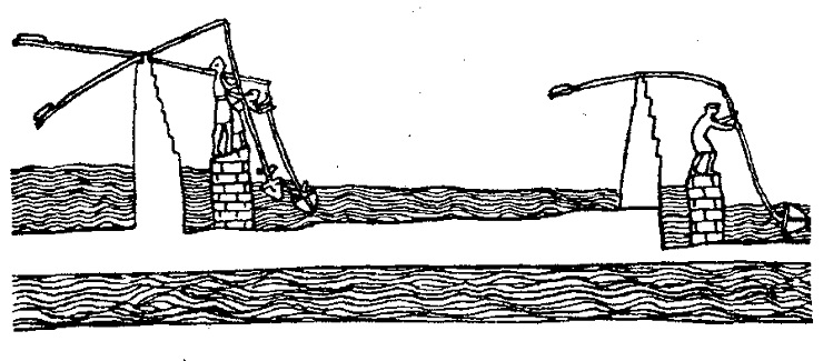 Выращивание зерна вызвало к жизни государство 