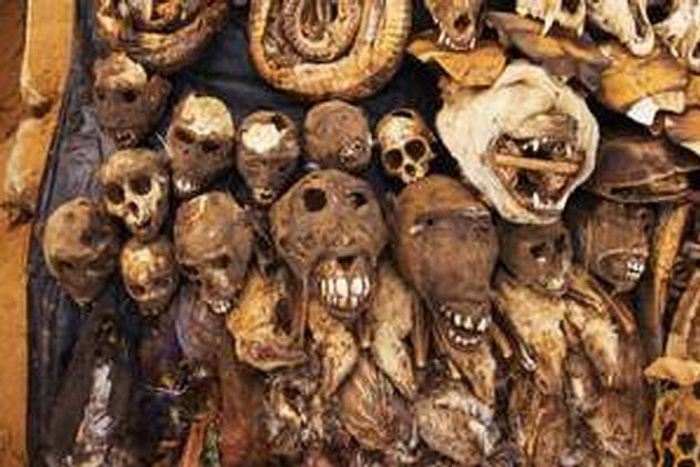 Святые мощи, боевые трофеи, декор и другие причины, по которым тела сохраняют после смерти