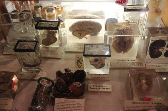 Где найти приворотное зелье, лечебных пиявок и другие проверенные снадобья: 5 старинных аптек-музеев