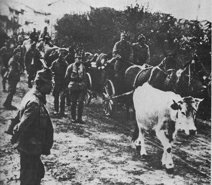 Битва при Витторио-Венето. Как погибла Австро-Венгрия