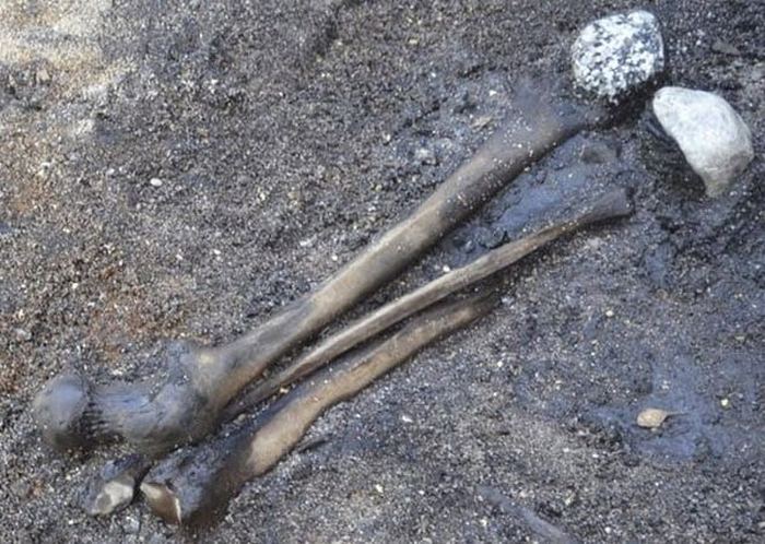 10 малоизвестных фактов о древних войнах, которые позволили учёным сделать любопытные открытия