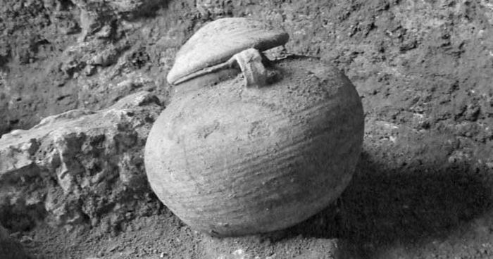 10 малоизвестных фактов о древних войнах, которые позволили учёным сделать любопытные открытия